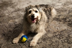 e1051f8e-3659-4774-a02f-039f46dfe8b7