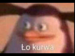 423e1bcc-14be-4f72-a1cb-9f7ec728a18a