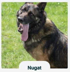 19da28b6-2678-4b69-83cc-d34d44079848