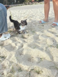 60855872-d055-4b0d-acd2-e56399e9cc15