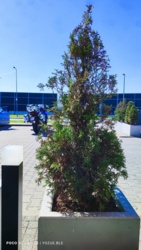 174ac411-dec5-4712-831e-f32921602da6