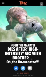 0334cd4a-a466-4070-8452-9cd15bcd97e9