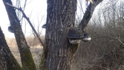 44eaa84a-ee51-4586-ac8f-2defdc474acd