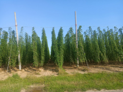 4af5f0e5-a6fe-4c8d-a3d3-52ea5cf56d86