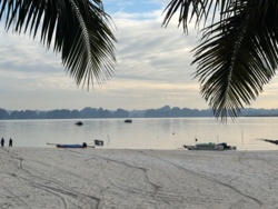 62fffb5c-5e20-49c6-98f9-df59bf1f98b2