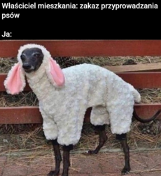 5b0b9c91-cfc3-488e-97d4-b3346111e852