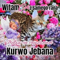 2ed2dd38-bba9-4336-8413-889d46165589
