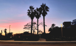 cc6b9d55-36fc-4bdc-9439-99443332c67d