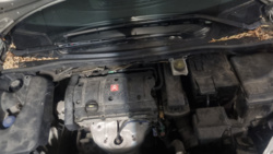 e90a38b9-d462-444a-9ee4-2fee6384a627