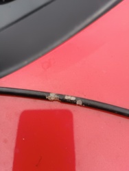 fe22ee3b-7d0f-4f53-8c7a-c7327087919a