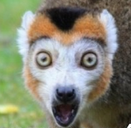 95f4956f-a405-4d24-b561-b0c523574bf0