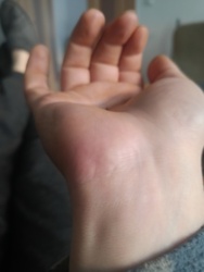 2364bebf-b397-486f-bdc4-7edba64266cc