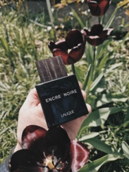 26cbdc32-f227-4893-90ac-5021aafd08c3