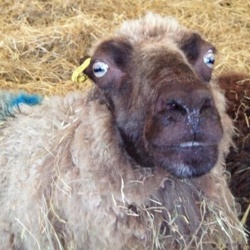 79168479-c736-4936-8132-f7046547aa30