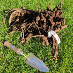 8396a797-e505-4cf6-bd6f-b6a7b703ed94