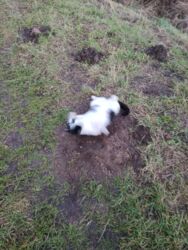 a66f4dfd-44d8-4340-856a-a99f89d9a734