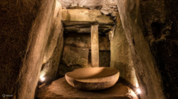 c4e74d85-b6bc-4390-b11e-9138d00ad154