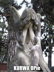 e13a218f-5d3c-45ff-b384-fa3fc6a0729f