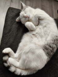 ecfa5fd8-2719-4094-9e83-8cdfcfc78c05