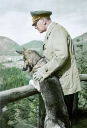 612cb969-428a-44a8-ada8-ee76418fc367