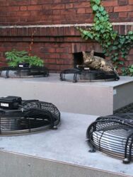 2b928766-1be8-44bd-ad1f-5d4cc91d4ae2