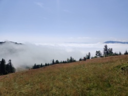 6924bc1a-f30d-48aa-b424-d5f72caab017