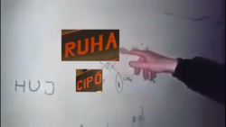 8fef4d55-4a00-41d0-a665-42913c8cbb65