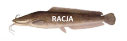 54c74baa-40d7-4466-a264-230ec6a3cb5d
