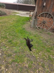 16d256ba-666e-4f40-b048-9d244712449a