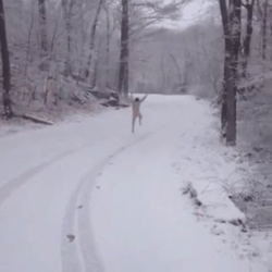 37dc22e1-e43d-4e05-9fa4-85d4f9f65ff8