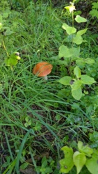 85af9d5a-65fc-447e-84ac-cb147c1d95b7