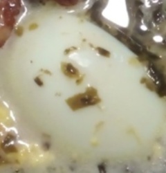 d37a5416-1c58-4694-a80d-3db998fa647c