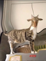 53efd77d-394f-44de-aa5c-188522be8a49