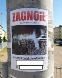 ee321eb2-a3a5-4091-8b27-ad4c6ad27185