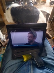 d4b1ce1d-26ad-458b-b718-a8c1488ed4c3