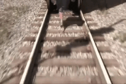 5419be23-67f2-46ee-97f1-6c037e70246b