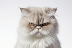 b59194ca-95fb-4696-a675-f97d7153e0c1