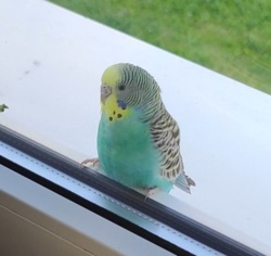 e8e993b6-1d5b-4a47-93b8-1134834698fa