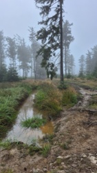 072f78e1-c4a6-4100-a6cf-15c93bbe84f9