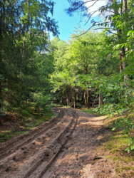 4d93b8be-46a5-4e1c-8cfc-7ac5a1ea2da8