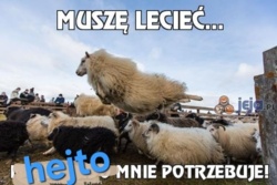 a987303b-284e-4f48-b6c7-0b39f6ad1993