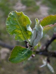 5342c6de-e1b9-4cdb-b0cb-c2e2ec751e84