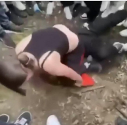 68c55b36-471f-475c-ba76-01affe11af6b