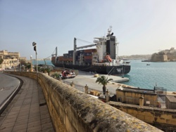 d36cea54-7711-4c11-a8d9-693992d9767e