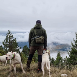 f8466c4b-bb09-42ad-b111-db6bef9c4c4f