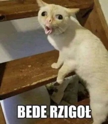 297c3eea-4640-4ed0-85f8-841e5af7754d