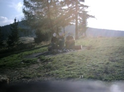 a5036229-9763-4446-ad0c-0a1865ca04ec