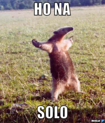 014a106c-bb71-46c1-9029-de50515cecd0