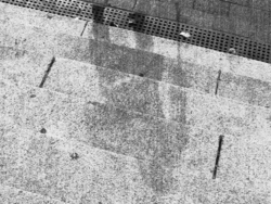 bb8820f5-3701-4d9d-b879-c802085fb54e