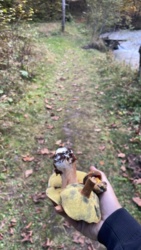 3779e046-773a-4ea6-be6e-280d5e4e49c3